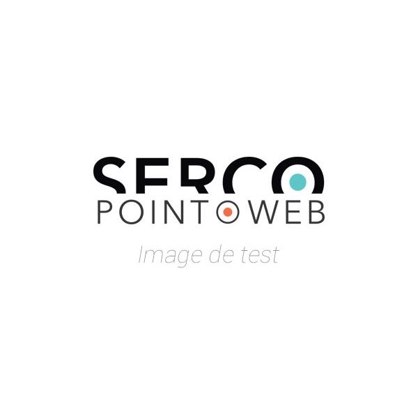 Pièces détachées